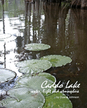 Caddo Lake: water, light and atmosphere 1