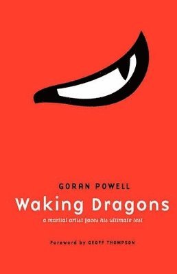 bokomslag Waking Dragons