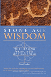 bokomslag Stone Age Wisdom: The Healing Principles of Shamanism