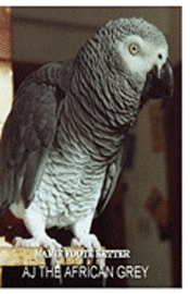 bokomslag AJ The African Grey