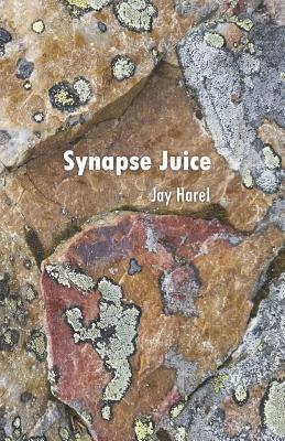 bokomslag Synapse Juice: Poetry for the Inquisitive Mind