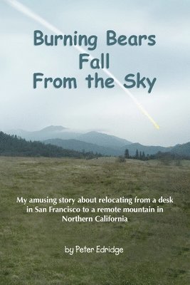 bokomslag Burning Bears Fall From the Sky: My amusing story about relocating from a desk in San Francisco to a remote mountain in Northern California