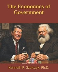 bokomslag Economics of Government