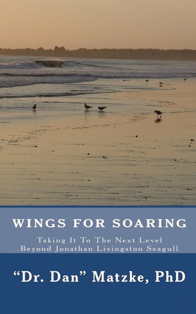 bokomslag Wings For Soaring