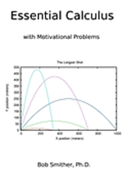 bokomslag Essential Calculus: with Motivational Problems