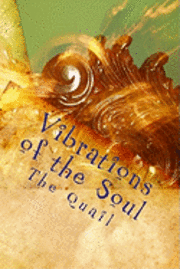 bokomslag Vibrations of the Soul