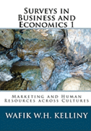 bokomslag Surveys in Business and Economics 1: Marketing and Human Resources across Cultures