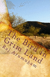 bokomslag The Bird in Grim Land