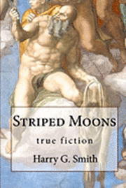 bokomslag Striped Moons