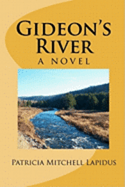 bokomslag Gideon's River