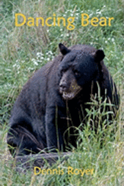 Dennis Royer - Dancing Bear, Häftad