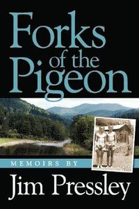 bokomslag Forks of the Pigeon