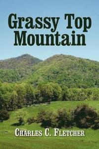 bokomslag Grassy Top Mountain