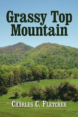 Grassy Top Mountain 1