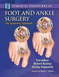 bokomslag Surgical Exposures in Foot & Ankle Surgery