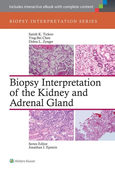 bokomslag Biopsy Interpretation of the Kidney & Adrenal Gland