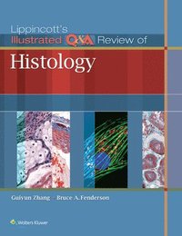 bokomslag Lippincott's Illustrated Q&A Review of Histology