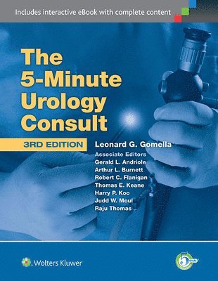 bokomslag The 5 Minute Urology Consult