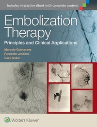 bokomslag Embolization Therapy: Principles and Clinical Applications
