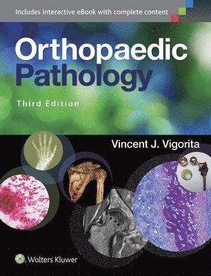 bokomslag Orthopaedic Pathology