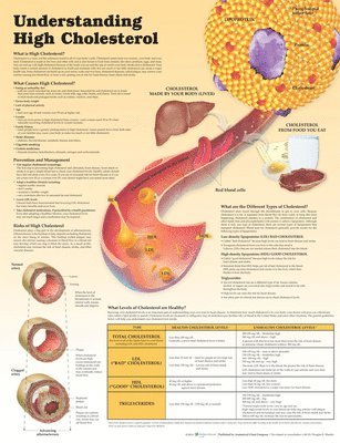 Understanding High Cholesterol Lam 1