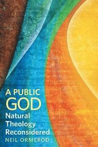 bokomslag A Public God
