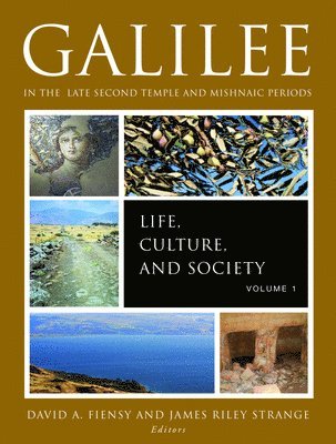 Galilee in the Late Second Temple and Mishnaic Periods, Volume 1 1