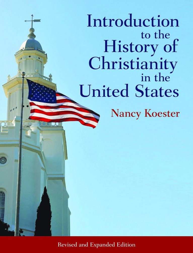Introduction to the History of Christianity in the United States, Häftad