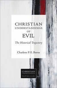 bokomslag Christian Understandings of Evil