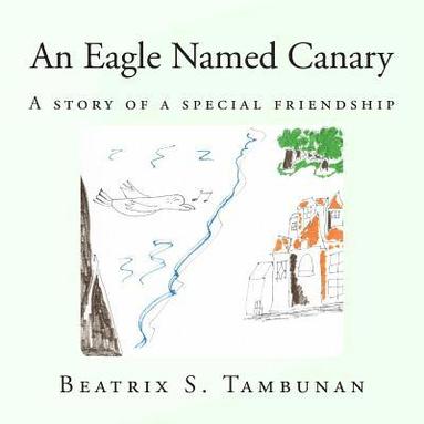 bokomslag An Eagle Named Canary: A Story Of A Special Friendship