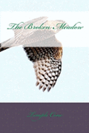 The Broken Meadow 1