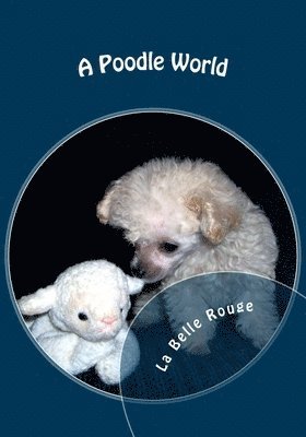 A Poodle World 1