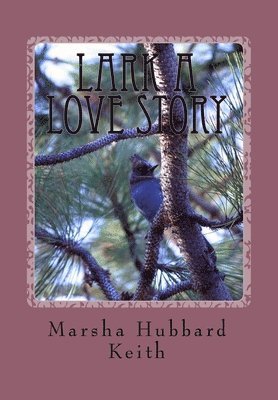 Lark A Love Story 1