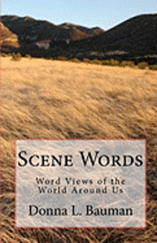 bokomslag Scene Words: Word Views of the World Around Us