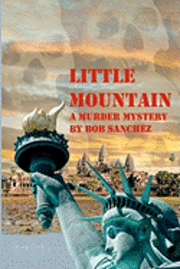bokomslag Little Mountain