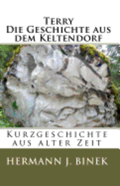 bokomslag Terry Die Geschichte aus dem Keltendorf: Kurzgeschichten aus alter Zeit