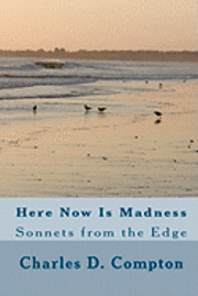 bokomslag Here Now Is Madness: Sonnets from the Edge