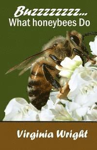 bokomslag Buzzzzzzzz...: What Honeybees Do