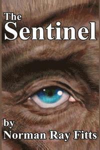 The Sentinel 1