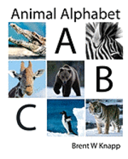 bokomslag Animal Alphabet: From Alligator to Zebra