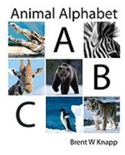 Animal Alphabet: From Alligator to Zebra 1