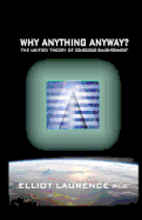 bokomslag Why Anything Anyway: The Unified Theory of Conscious Enlightenment