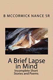 A Brief Lapse in Mind: Short Stories and Poems 1