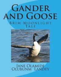 bokomslag Gander and Goose: Brim Moonlight Tale