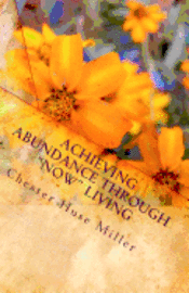 bokomslag Achieving Abundance Through "Now" Living: Success Is Closer Than You Think