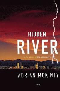 bokomslag Hidden River