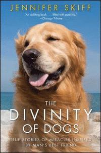 bokomslag Divinity Of Dogs