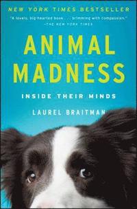 bokomslag Animal Madness: Inside Their Minds