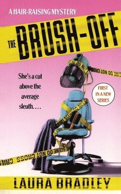 bokomslag Brush-Off