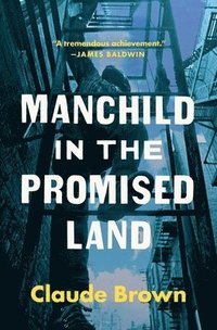 bokomslag Manchild In The Promised Land